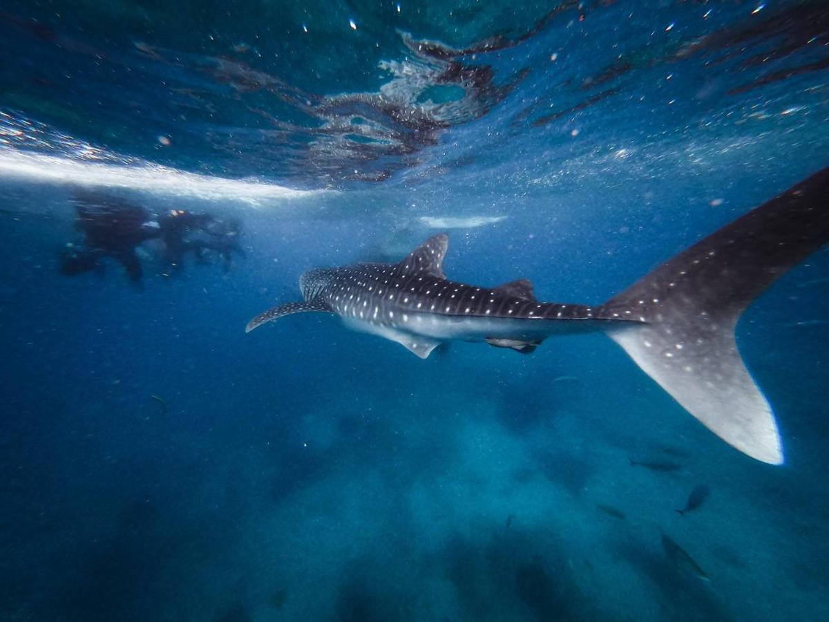 Manta Dhangethi Exteriör bild